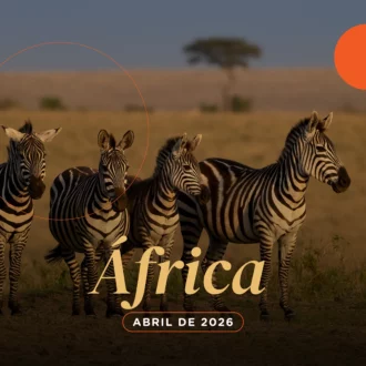 África