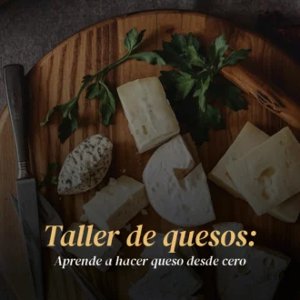 Taller de quesos: aprende a hacer queso desde cero